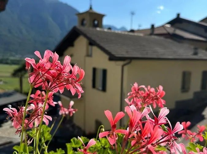 Sotto al Bosco B&B e Azienda Agricola